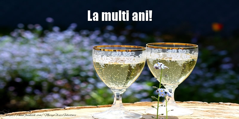 Felicitari aniversare De La Multi Ani - La multi ani!