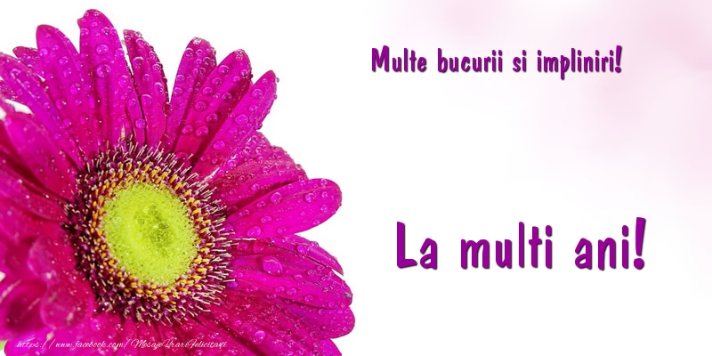 Felicitari aniversare De La Multi Ani - Multe bucurii si impliniri! La multi ani!