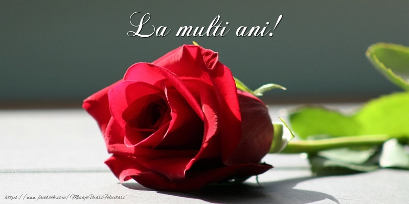 Felicitari aniversare De La Multi Ani - La multi ani!