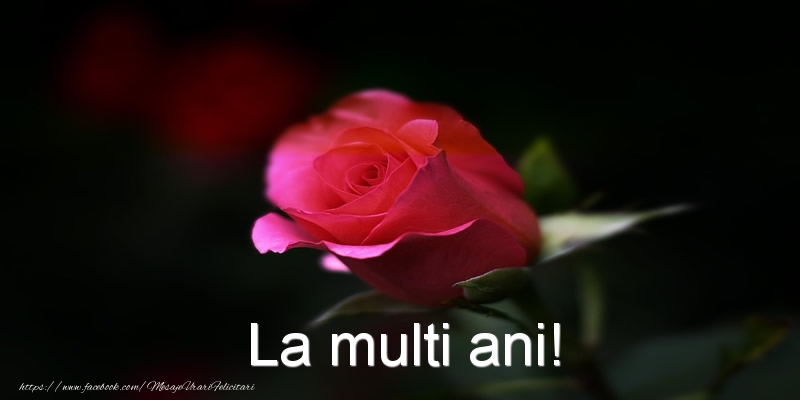 Felicitari aniversare De La Multi Ani - La multi ani!