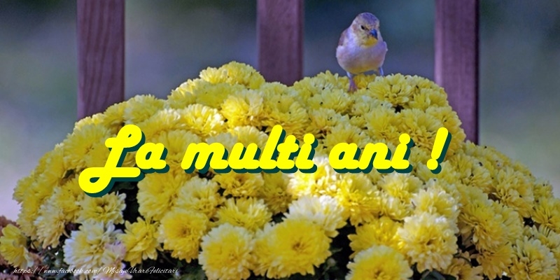 Felicitari aniversare De La Multi Ani - La multi ani!