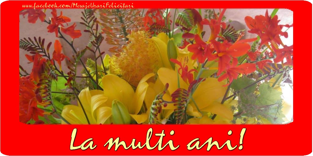 Felicitari aniversare De La Multi Ani - La multi ani!