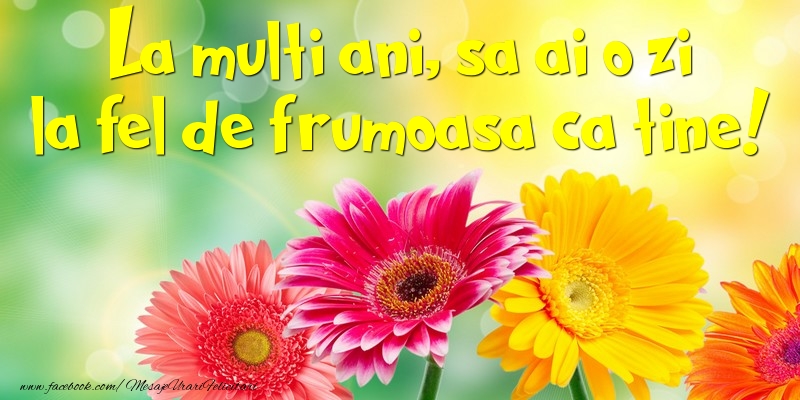 Felicitari aniversare De La Multi Ani - La multi ani