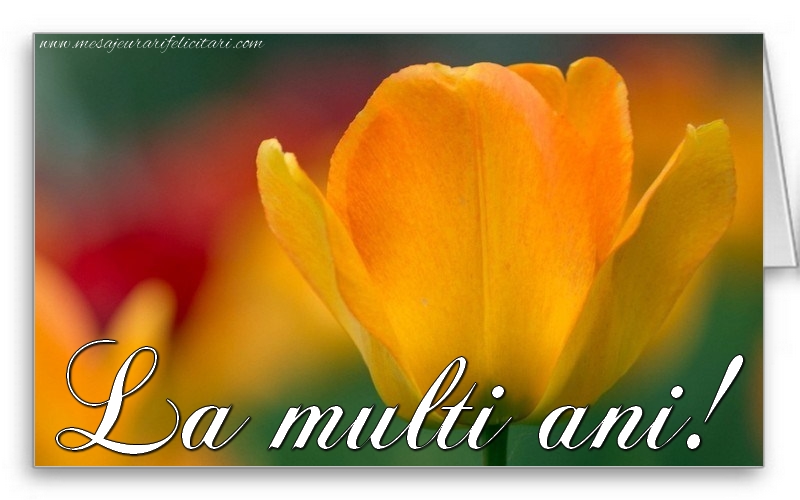 Felicitari aniversare De La Multi Ani - La multi ani