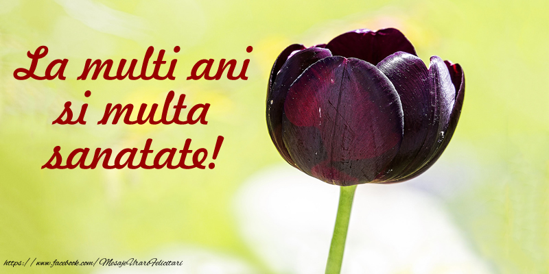 Felicitari aniversare De La Multi Ani - La multi ani si multa sanatate!