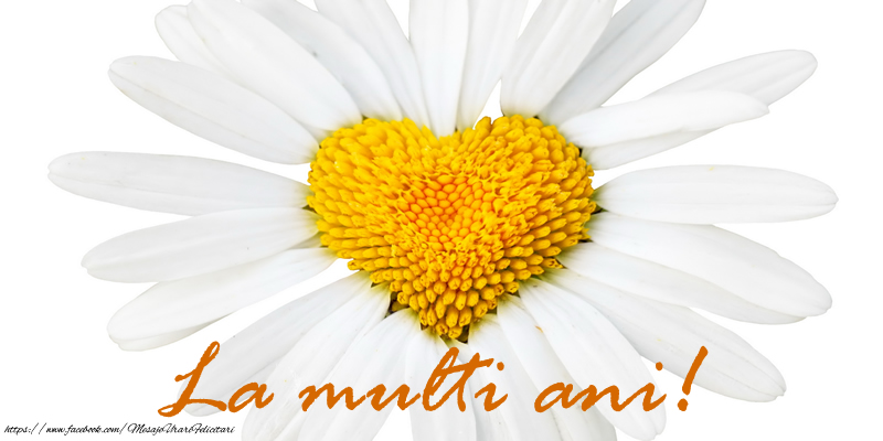 Felicitari aniversare De La Multi Ani - La multi ani!