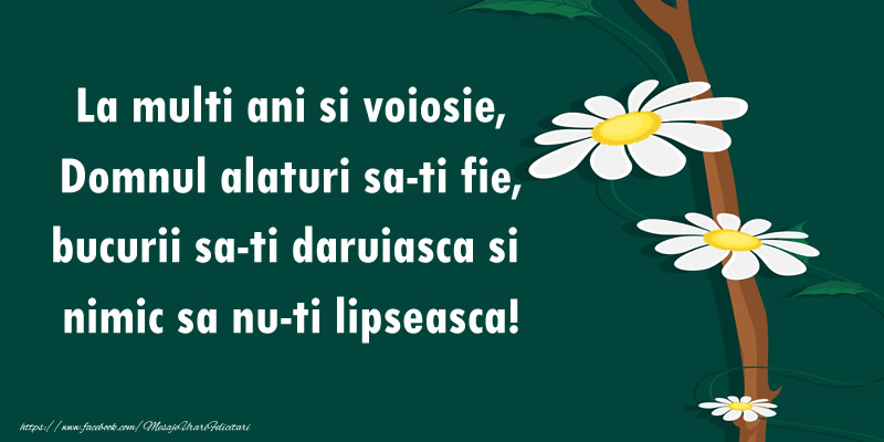 Felicitari aniversare De La Multi Ani - La multi ani si voiosie, Domnul alaturi sa-ti fie, bucurii sa-ti daruiasca si  nimic sa nu-ti lipseasca!