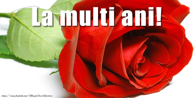 Felicitari aniversare De La Multi Ani - La multi ani!