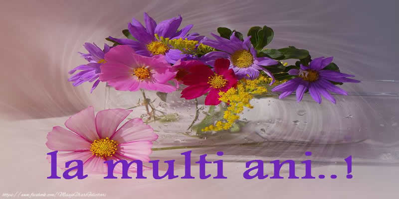 Felicitari aniversare De La Multi Ani - La multi ani!