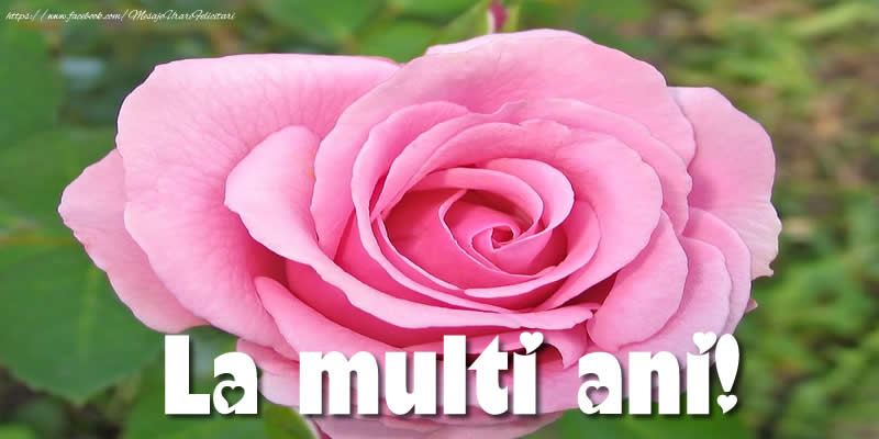 Felicitari aniversare De La Multi Ani - La multi ani!