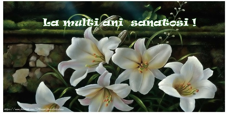 Felicitari aniversare De La Multi Ani - La multi ani sanatosi!