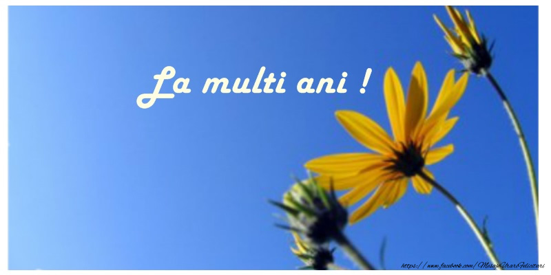 Felicitari aniversare De La Multi Ani - La multi ani!