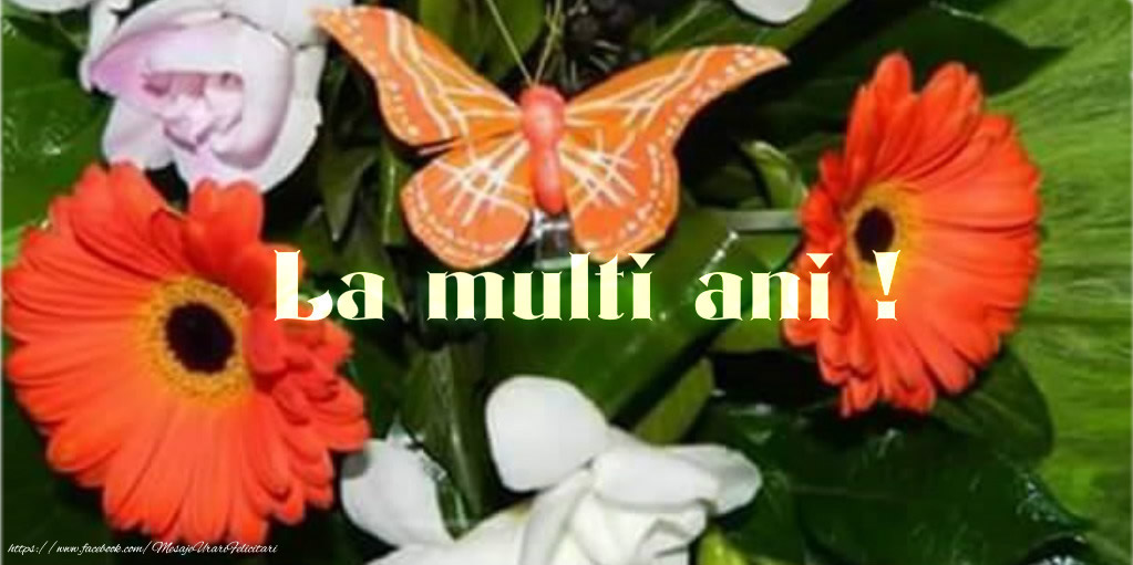 Felicitari aniversare De La Multi Ani - La multi ani!