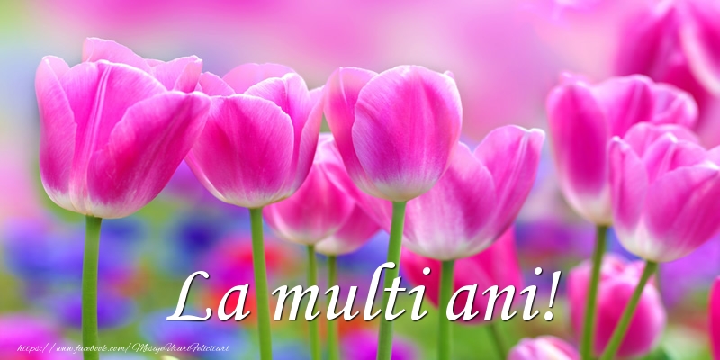 Felicitari aniversare De La Multi Ani - La multi ani!