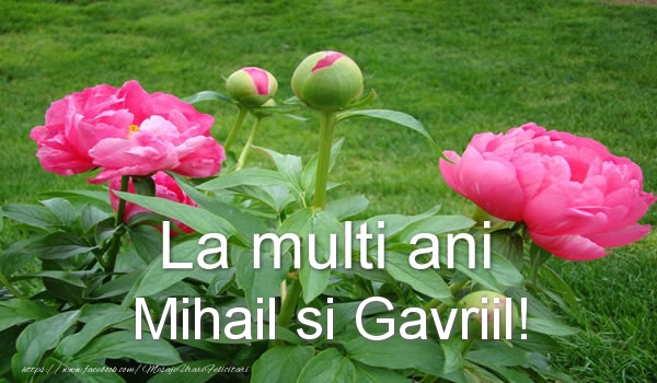 Felicitari aniversare De Sfintii Mihail si Gavril - La multi ani Mihail si Gavriil!