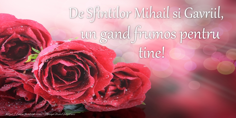 Felicitari aniversare De Sfintii Mihail si Gavril - De Sfintilor Mihail si Gavriil, un gand frumos pentru tine!