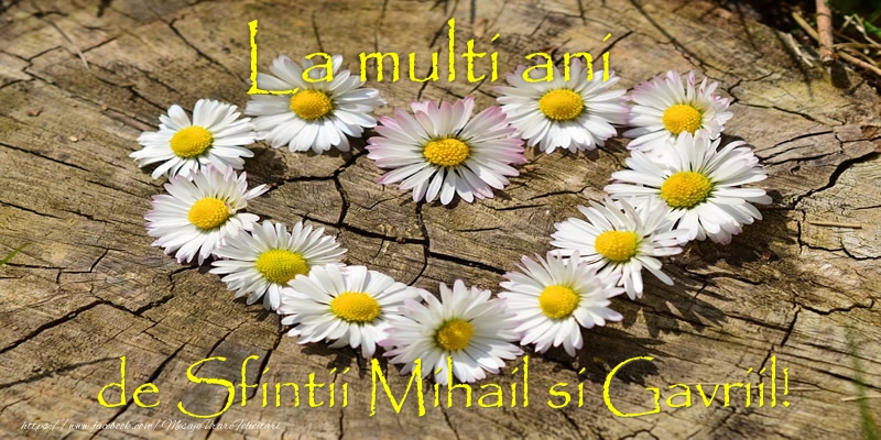 Felicitari aniversare De Sfintii Mihail si Gavril - La multi ani de Sfintii Mihail si Gavriil!