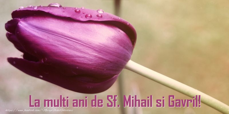 Felicitari aniversare De Sfintii Mihail si Gavril - La multi ani de Sf. Mihail si Gavril!