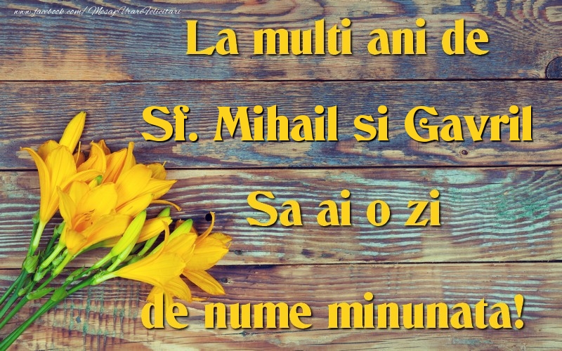 Felicitari aniversare De Sfintii Mihail si Gavril - Sf. Mihail si Gavril