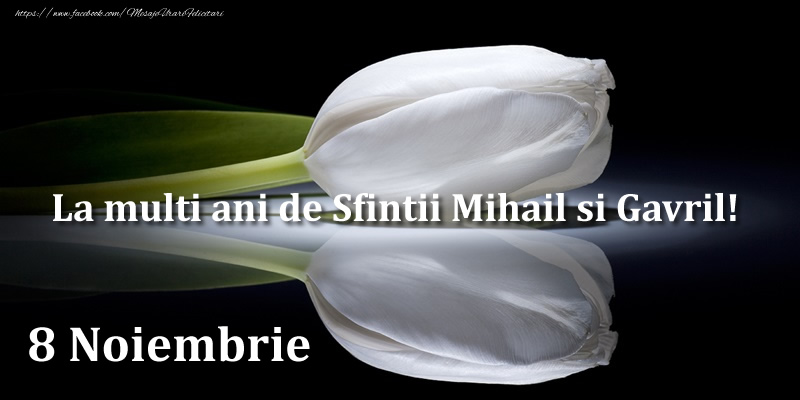 Felicitari aniversare De Sfintii Mihail si Gavril - La multi ani de Sfintii Mihail si Gavril! 8 Noiembrie