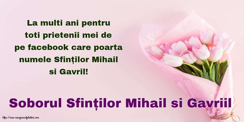 Felicitari aniversare De Sfintii Mihail si Gavril - Soborul Sfinților Mihail si Gavriil