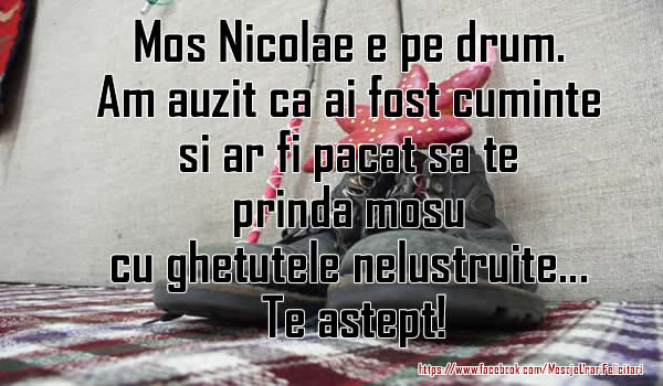 Felicitari aniversare De Sfantul Nicolae - Ai fost cuminte dar lustruieste-ti ghetutele!