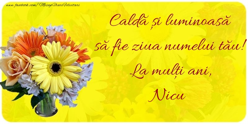 Felicitari aniversare De Sfantul Nicolae - Caldă și luminoasă să fie ziua numelui tău! La mulți ani, Nicu