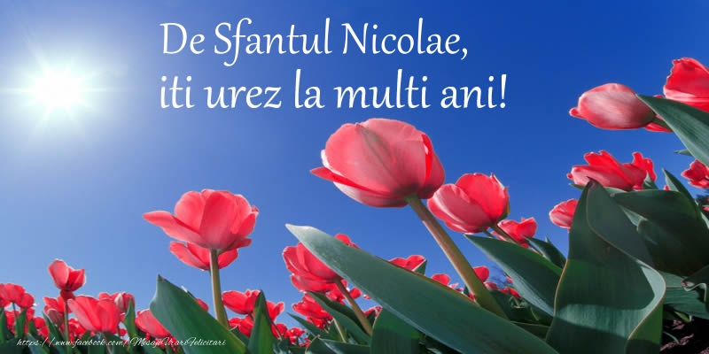 Felicitari aniversare De Sfantul Nicolae - De Sfantul Nicolae, iti urez La multi ani!