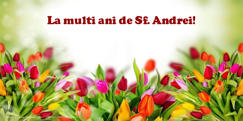 Felicitari aniversare De Sfantul Andrei - La multi ani de Sf. Andrei!