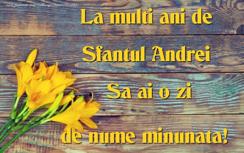 Felicitari aniversare De Sfantul Andrei - Sfantul Andrei