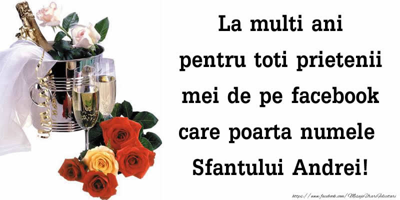 Felicitari aniversare De Sfantul Andrei - La multi ani pentru toti prietenii mei de pe facebook care poarta numele Sfantului Andrei!