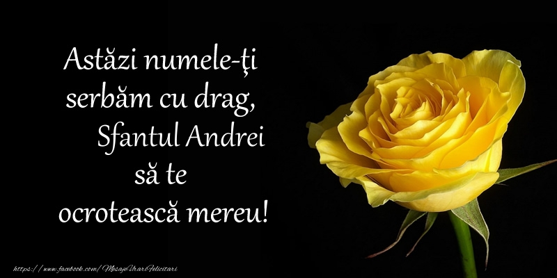 Felicitari aniversare De Sfantul Andrei - Astazi numele-ti serbam cu drag, Sfantul Andrei sa te  ocroteasca mereu!