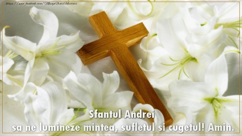 Felicitari aniversare De Sfantul Andrei - Sfantul Andrei sa ne lumineze mintea, sufletul si cugetul! Amin.