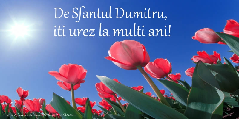 Felicitari aniversare De Sfantul Dumitru - De Sfantul Dumitru, iti urez La multi ani!