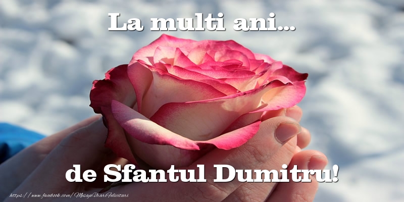 Felicitari aniversare De Sfantul Dumitru - La multi ani... de Sfantul Dumitru!