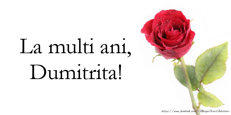 Felicitari aniversare De Sfantul Dumitru - La multi ani, Dumitrita!