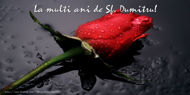 Felicitari aniversare De Sfantul Dumitru - La multi ani de Sf. Dumitru!