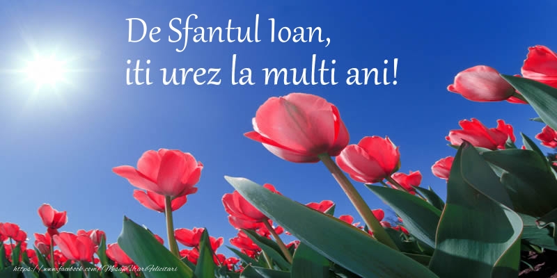 Felicitari aniversare De Sfantul Ioan - De Sfantul Ioan, iti urez La multi ani!