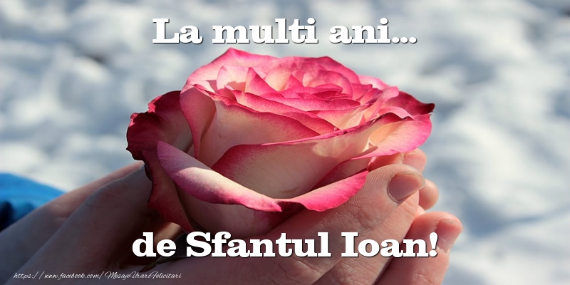 Felicitari aniversare De Sfantul Ioan - La multi ani... de Sfantul Ioan!