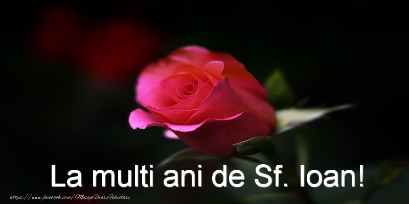 Felicitari aniversare De Sfantul Ioan - La multi ani de Sf. Ioan!