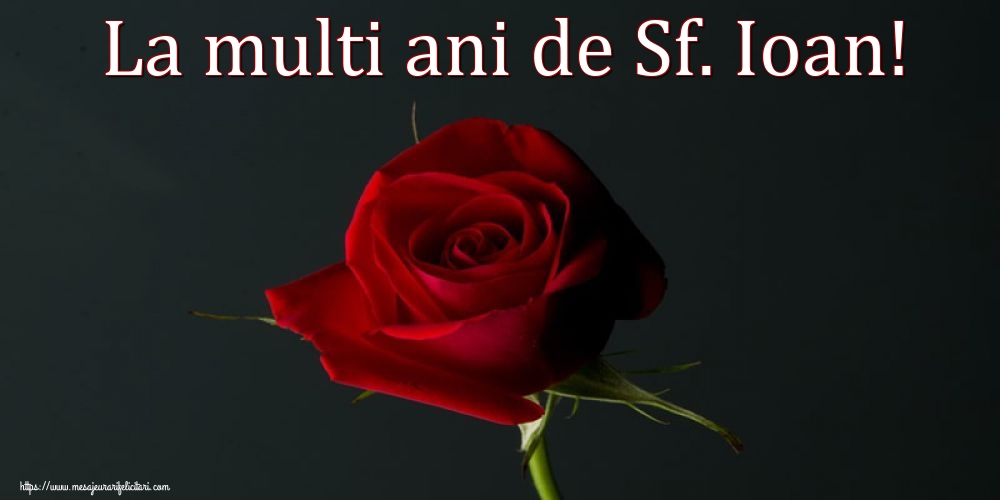 Felicitari aniversare De Sfantul Ioan - La multi ani de Sf. Ioan!