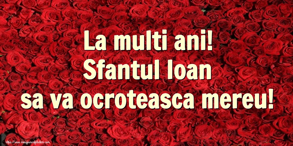 Felicitari aniversare De Sfantul Ioan - La multi ani! Sfantul Ioan sa va ocroteasca mereu!