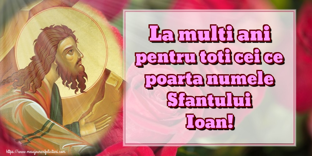 Felicitari aniversare De Sfantul Ioan - La multi ani pentru toti cei ce poarta numele Sfantului Ioan!