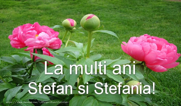 Felicitari aniversare De Sfantul Stefan - La multi ani Stefan si Stefania!