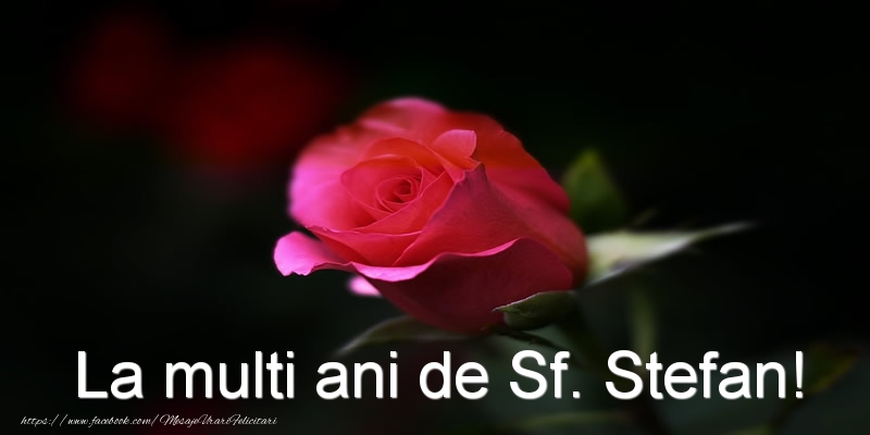 Felicitari aniversare De Sfantul Stefan - La multi ani de Sf. Stefan!