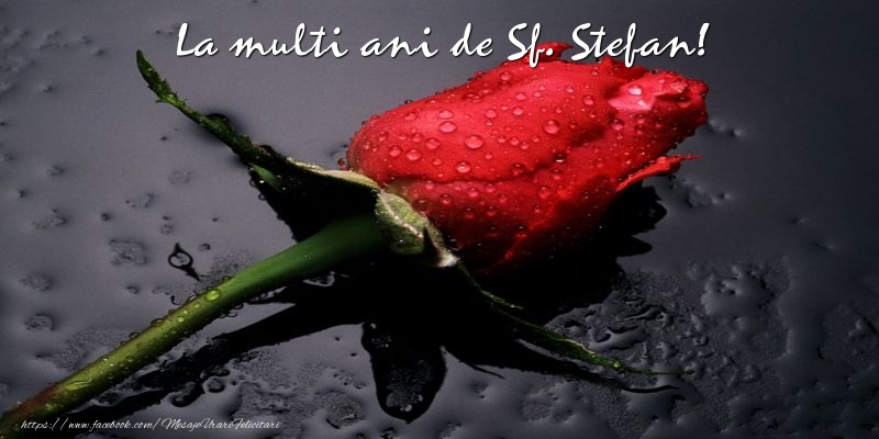 Felicitari aniversare De Sfantul Stefan - La multi ani de Sf. Stefan!