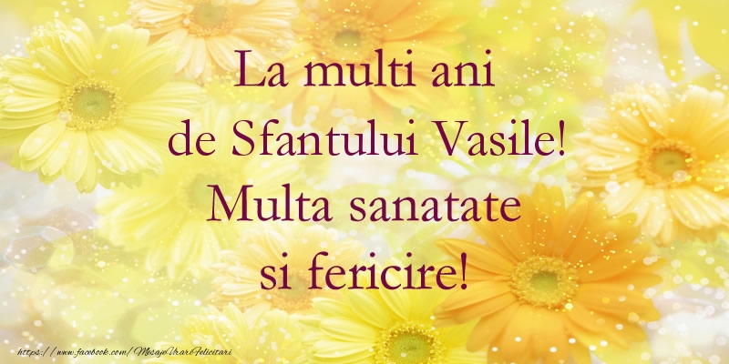 Felicitari aniversare De Sfantul Vasile - La multi ani de Sfantului Vasile! Multa sanatate si fericire!