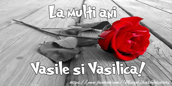 Felicitari aniversare De Sfantul Vasile - La multi ani Vasile si Vasilica!