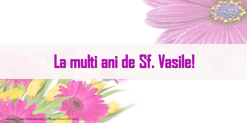 Felicitari aniversare De Sfantul Vasile - La multi ani de Sf. Vasile!