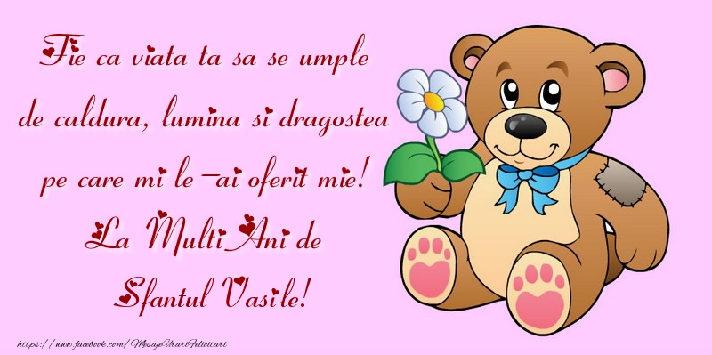 Felicitari aniversare De Sfantul Vasile - Fie ca viata ta sa se umple de caldura, lumina si dragostea pe care mi le-ai oferit mie! La Multi Ani de Sfantul Vasile!